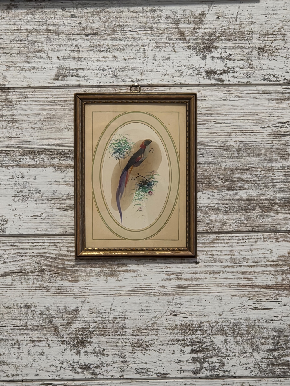 Framed Vintage Bird Wall Art